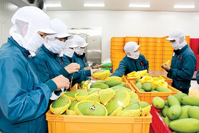 Chứng Nhận &amp; Chứng Chỉ
